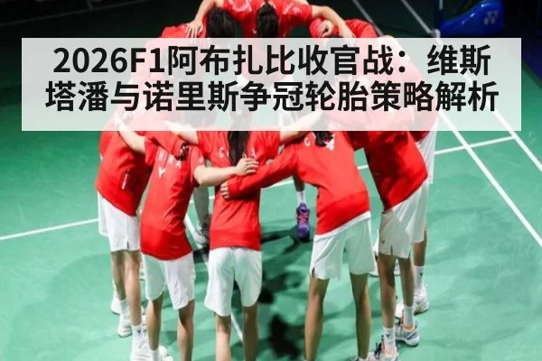 2026F1阿布扎比收官战：维斯塔潘与诺里斯争冠轮胎策略解析（steamchina）